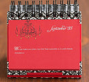 Load image into Gallery viewer, Day Brightener:  Lives, Loves, Laughs -366 days Perpetual Calendar