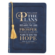 Lux. Journal: For I Know the Plans